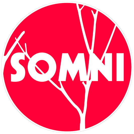 Somni - 'Gravity' Sticker