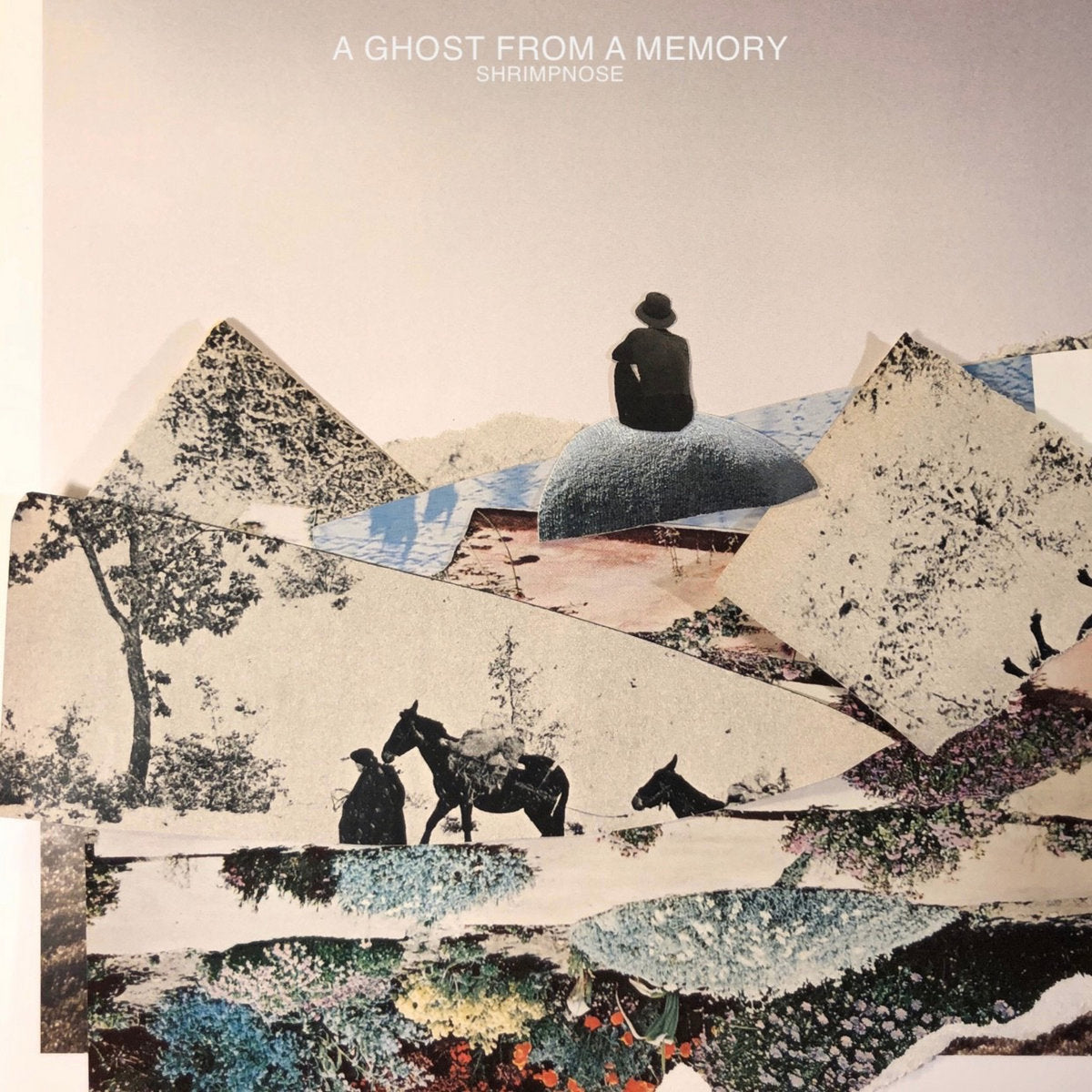 Shrimpnose - 'A Ghost From A Memory'