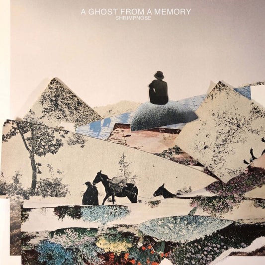 Shrimpnose - 'A Ghost From A Memory'