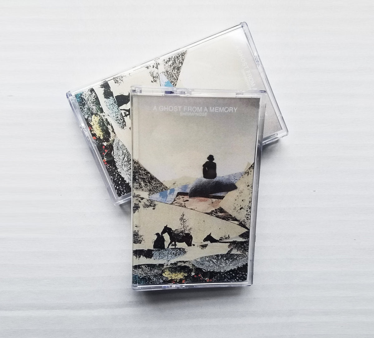 Shrimpnose - 'A Ghost From A Memory'